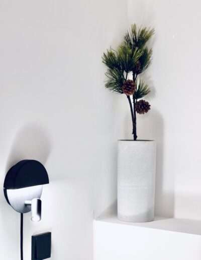 Pflanze in Vase