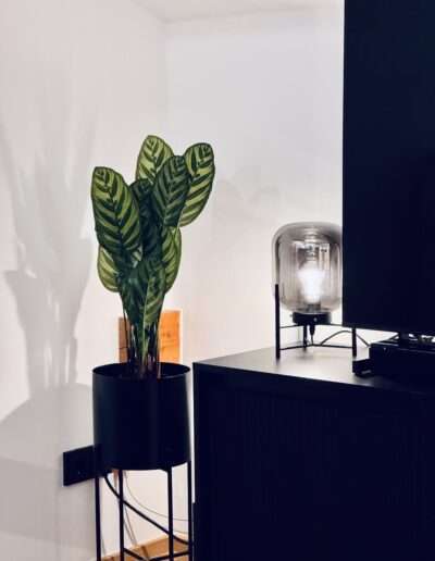 Wohnzimmer Pflanze mit Lampe im Detail
